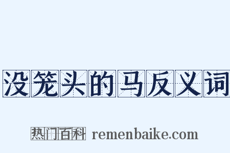 没笼头的马反义词是什么意思的图片